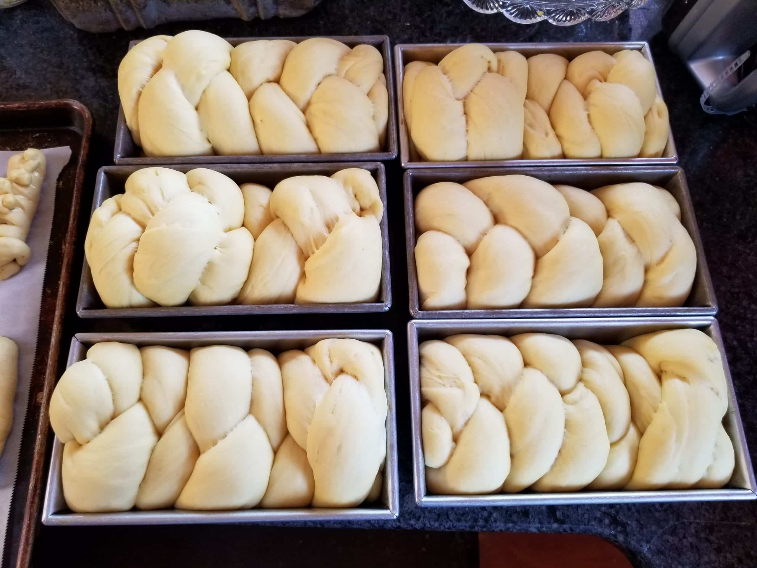 challah dough on the rise