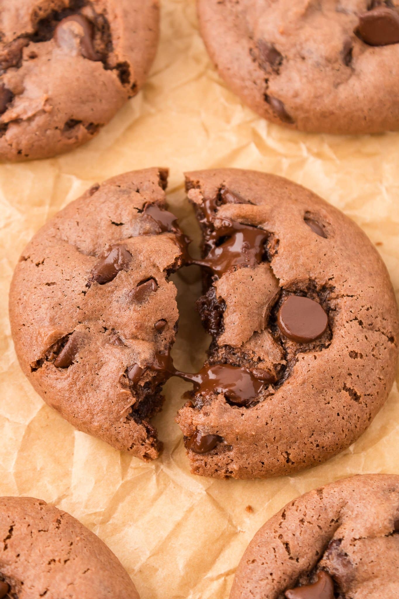 chocolate cake cookies
