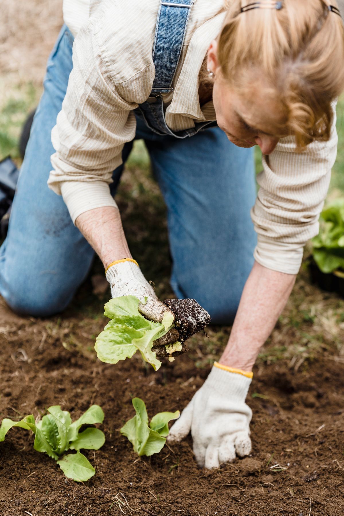 149 Funny Gardening Puns And Jokes To Help You Garden