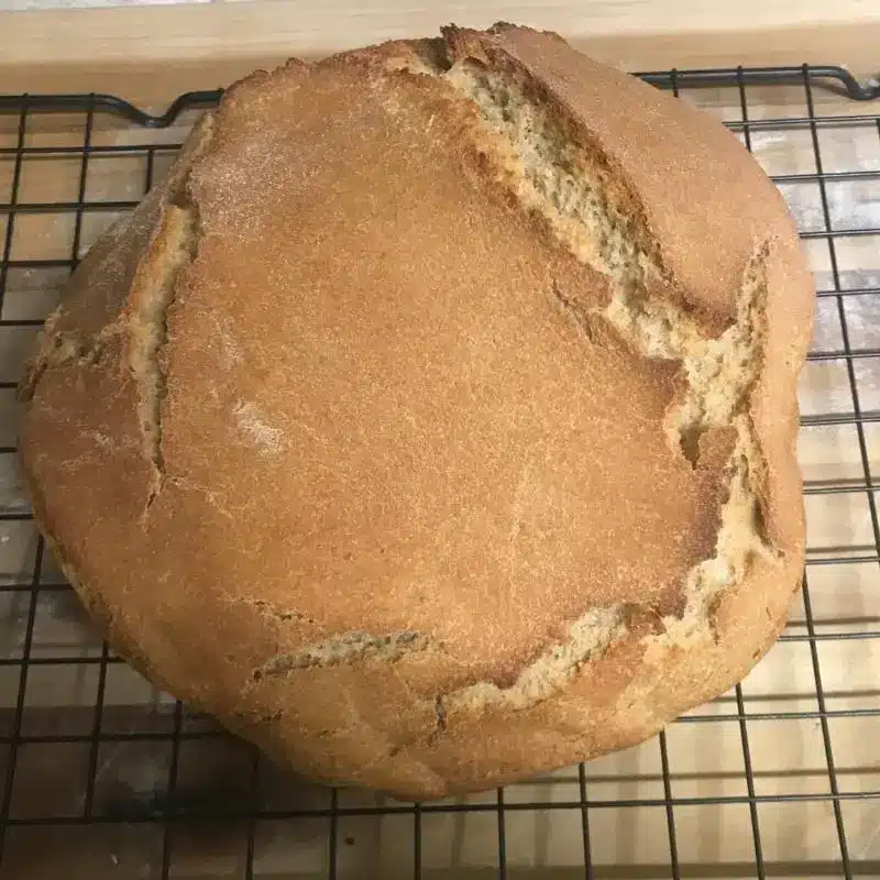 No Knead Sourdough Bread