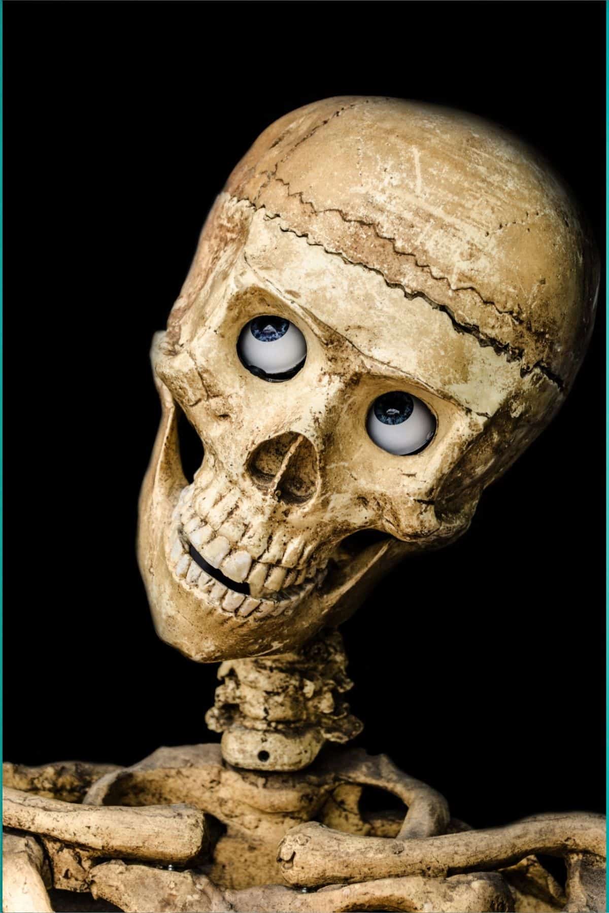 185 Funny Skull Puns And Jokes That Are Too Humerus!