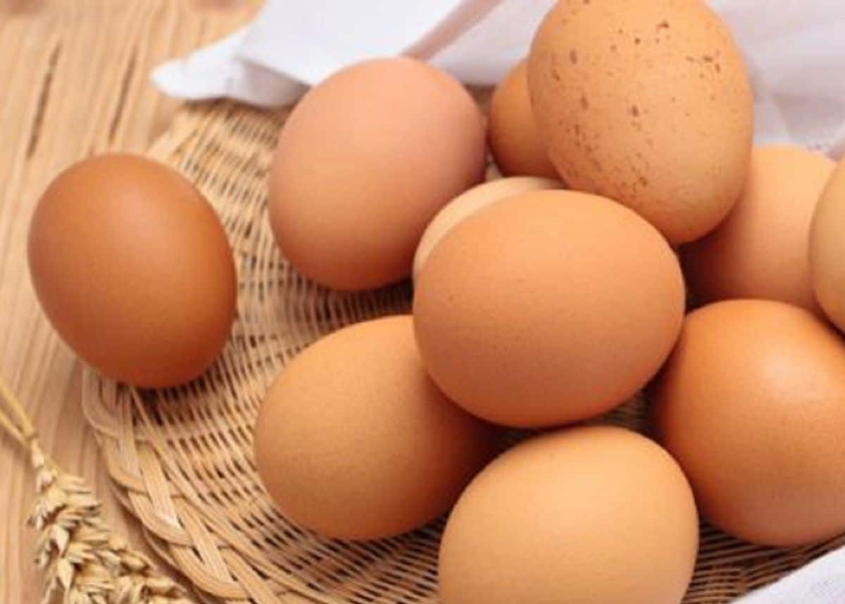 A close up of a dozen brown eggs.