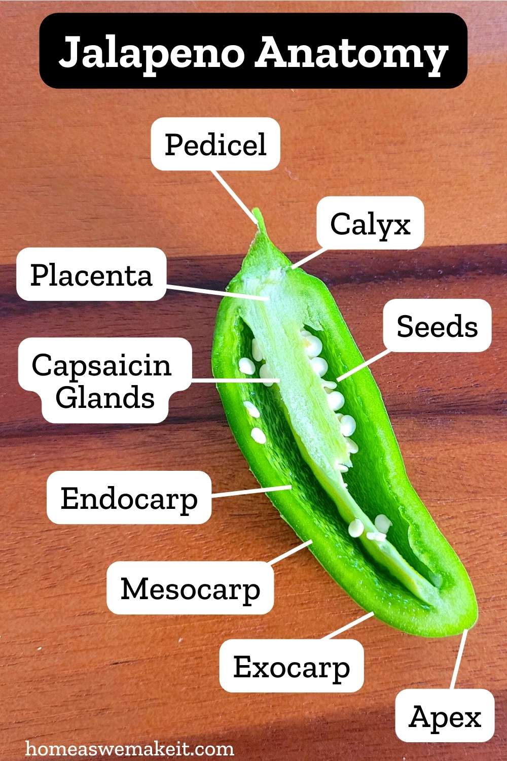 10 Ways to Make Jalapenos Less Hot: Tips for Milder Peppers