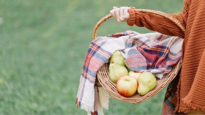 be green this thanksgiving