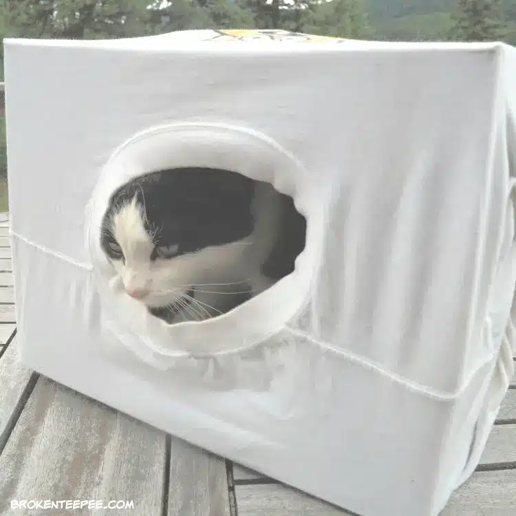 DIY cat cave