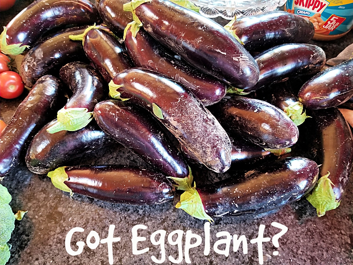 eggplant