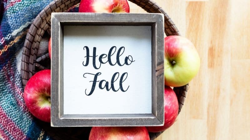 fall bucket list