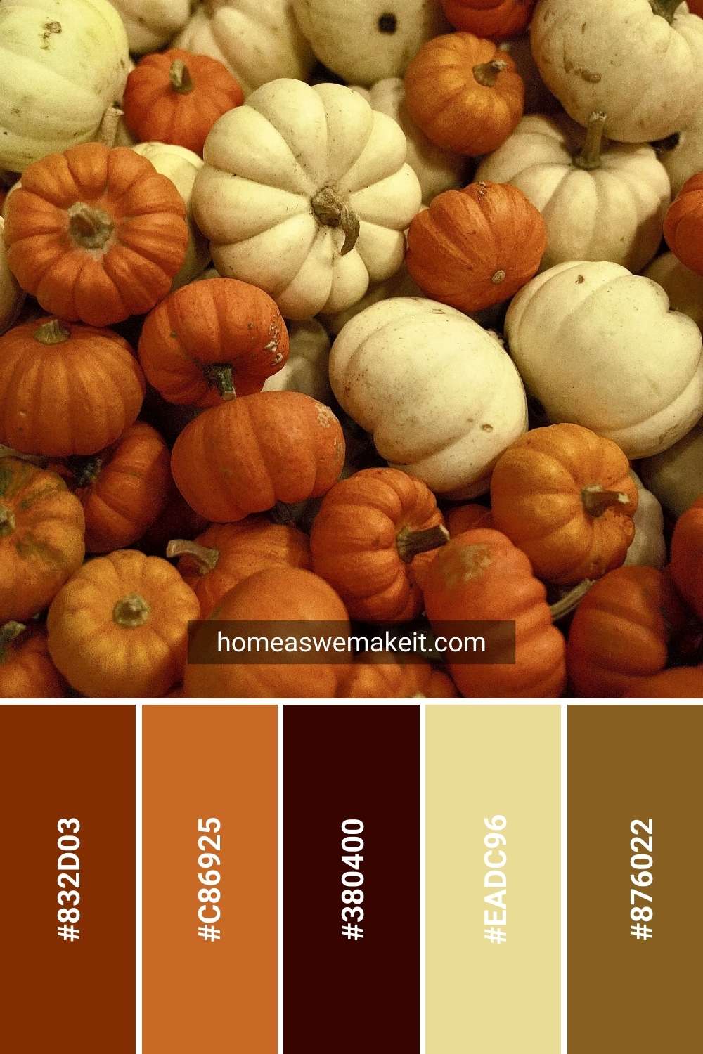 warm autumn colors