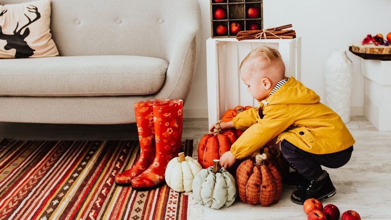home organization for fall (1)