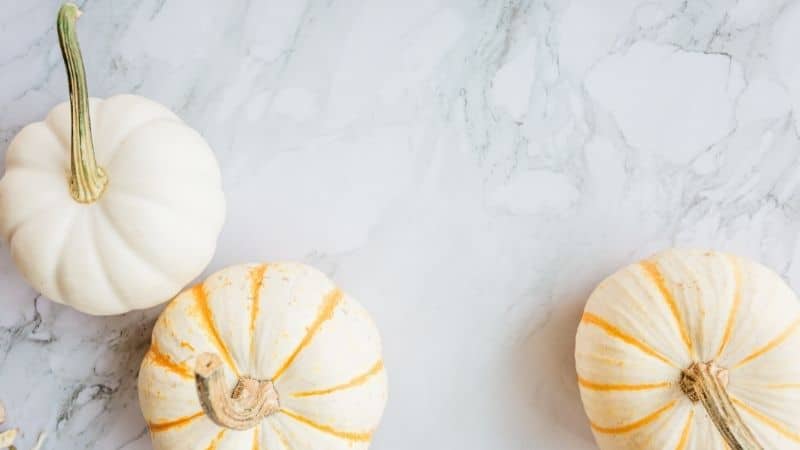 minimalist thanksgiving decor