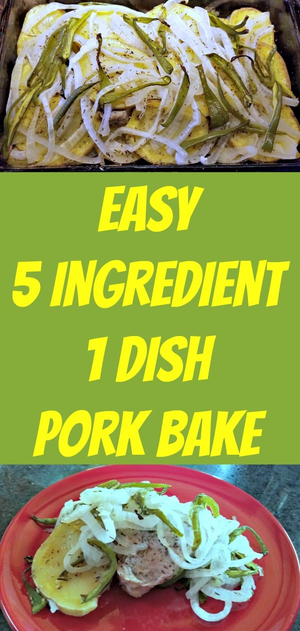 Easy One Dish Pork Bake, 5 Ingredient Meal, Pork dinner