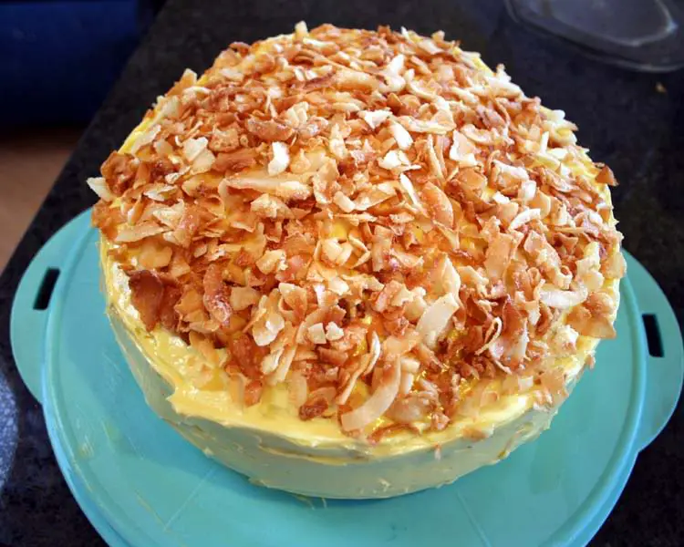Chocolate Cake with Buttercream Icing and Sugared Coconut Chips Recipe