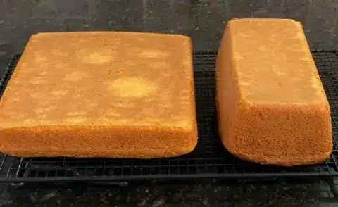 Bluey Duck Cake Recipe
