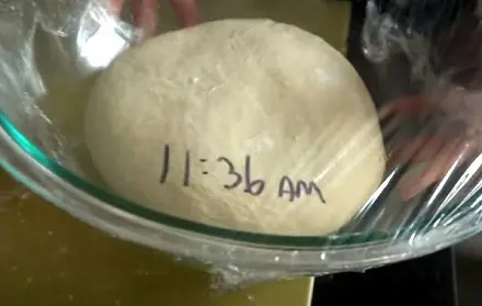 New Haven Pizza Dough Recipe