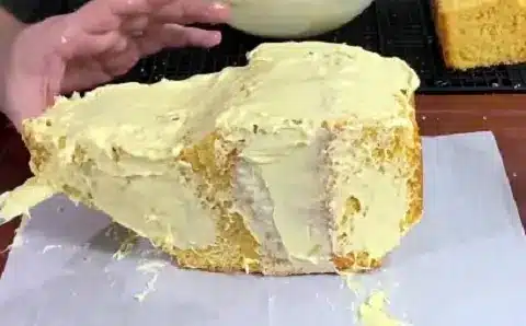 Bluey Duck Cake Recipe