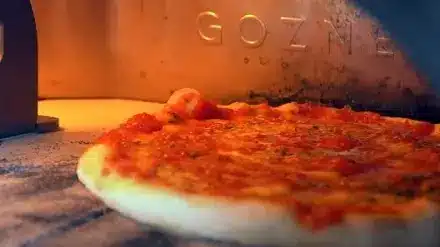 New Haven Pizza Dough Recipe