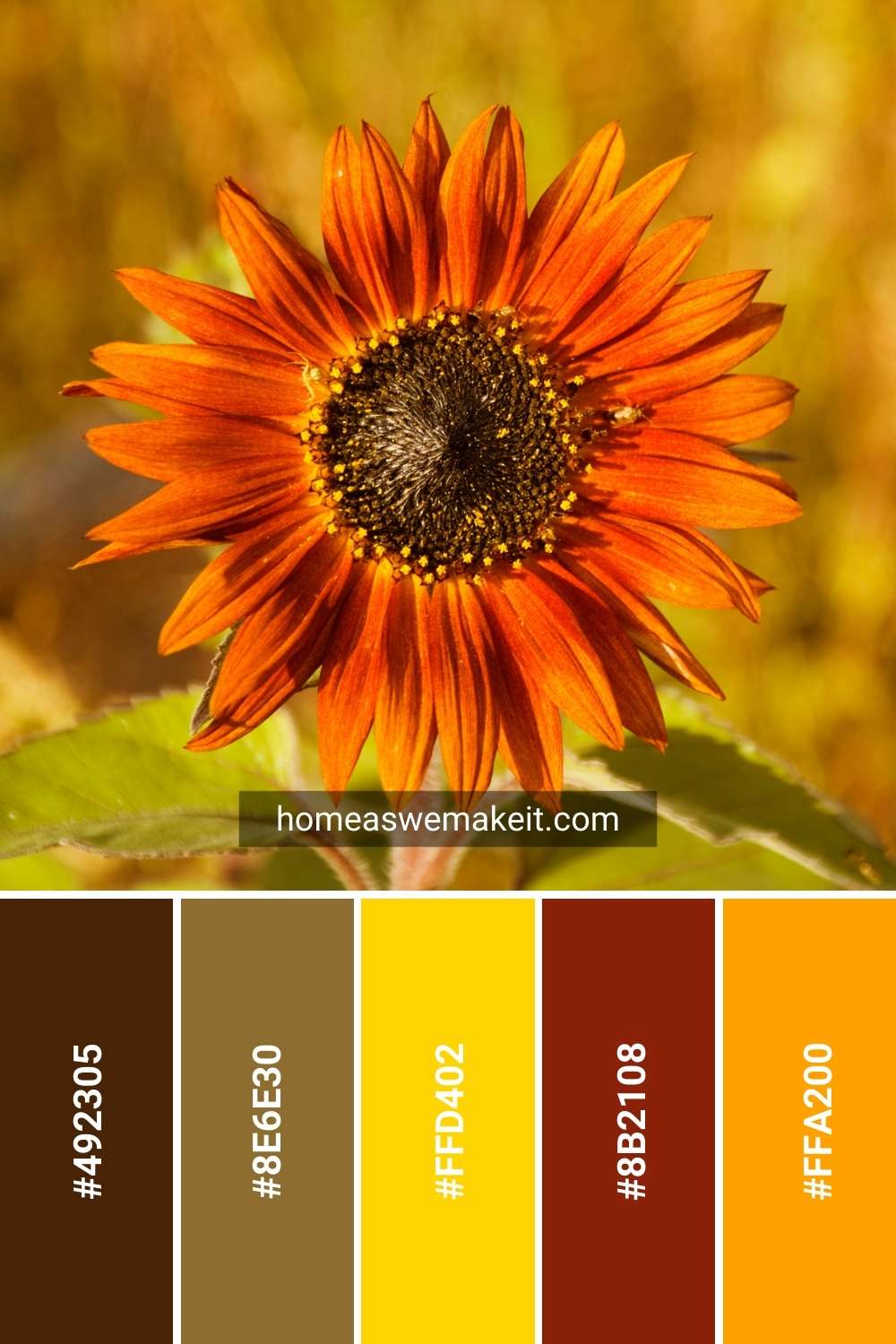 sunflower fall color palette